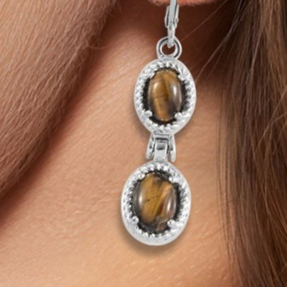 South African Tiger's Eye Dangle Earrings in Stainless Steel 4.60 ctw - Picture 3 of 7
